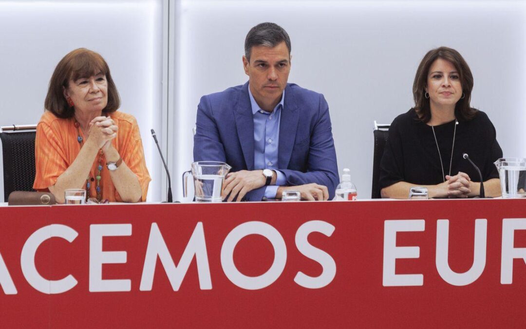 Se va a poner peluda