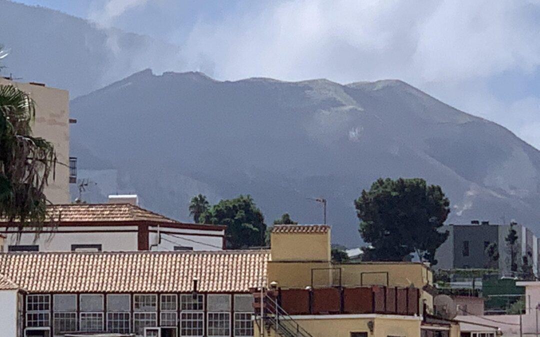 La pelea de las casas