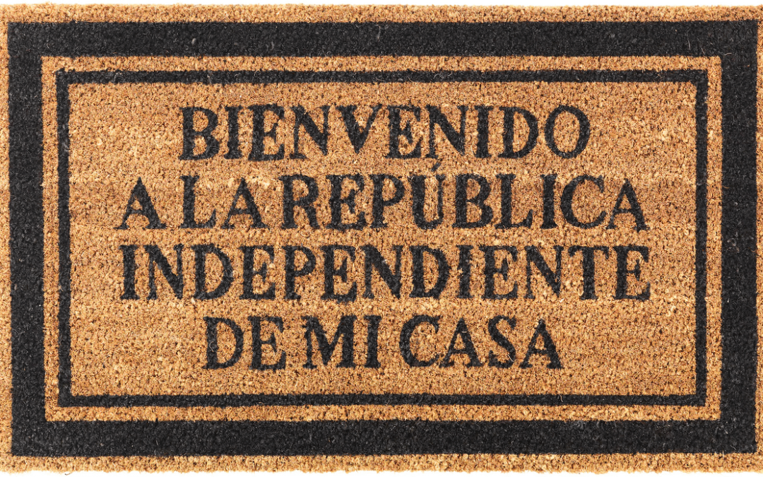 Política para bobos