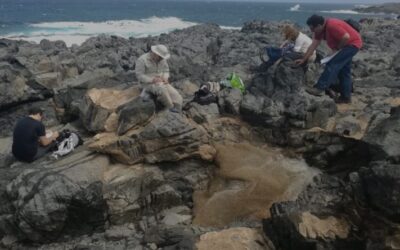 Tierras raras, mentiras comunes