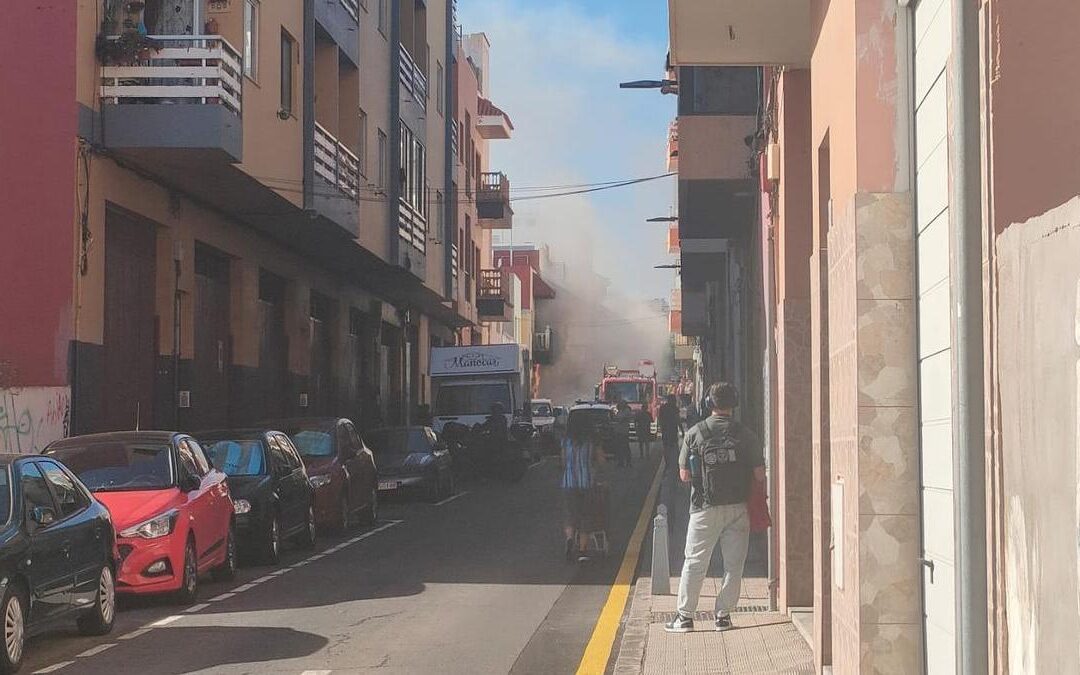 Pirómanos, locos y criminales