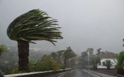 Un temporal sin miedo