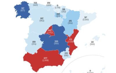 Solidaridad selectiva