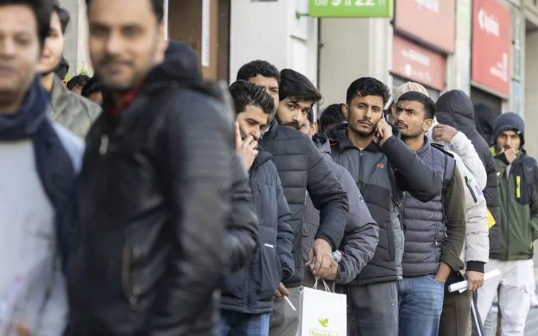 Inmigrantes ‘certificados’