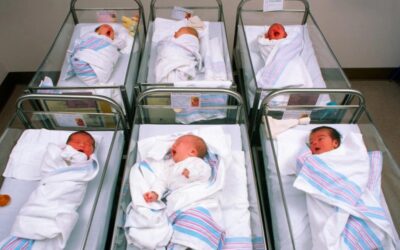 28 hijos